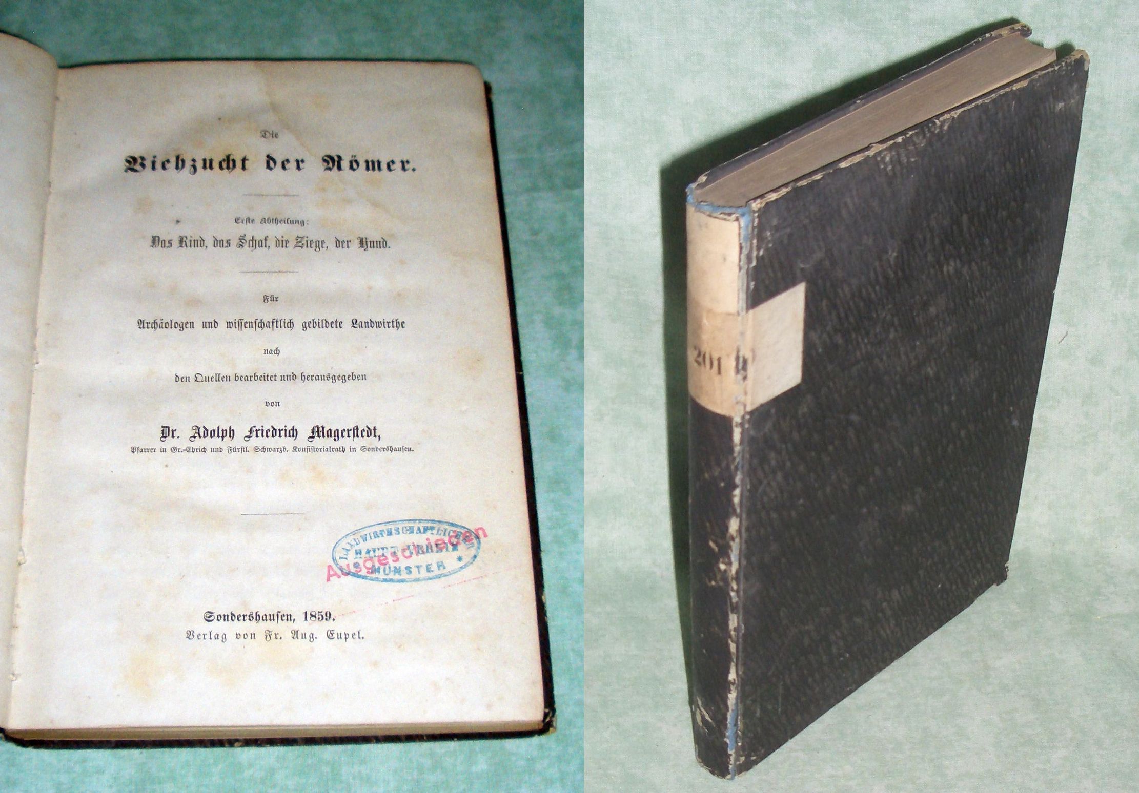 Magerstedt, Viehzucht