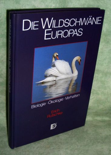 Rutschke, Wildschwäne