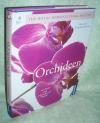 Rittershausen, Orchideen