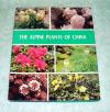 Alpine Plants China